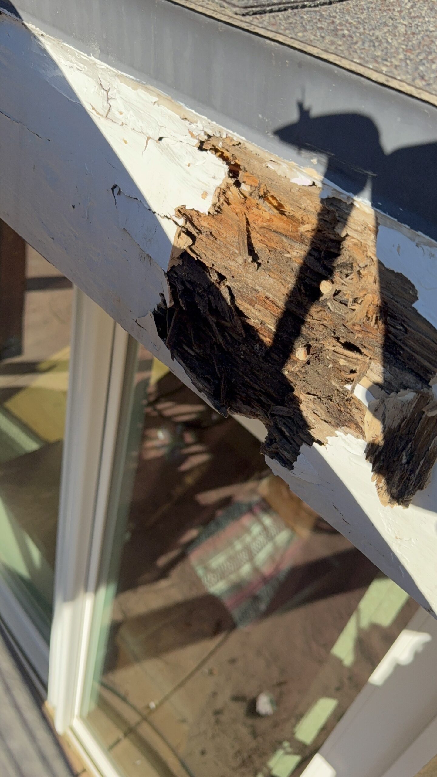 Expert Aluminum and Wood Patio Construction& Repair